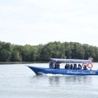 𝐌𝐀𝐉𝐋𝐈𝐒 39