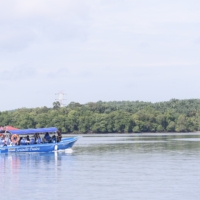 𝐌𝐀𝐉𝐋𝐈𝐒 41