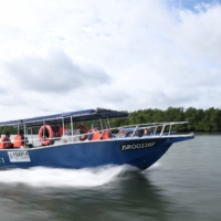 𝐌𝐀𝐉𝐋𝐈𝐒 45