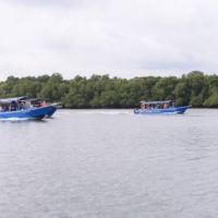 𝐌𝐀𝐉𝐋𝐈𝐒 46