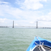 𝐌𝐀𝐉𝐋𝐈𝐒 48