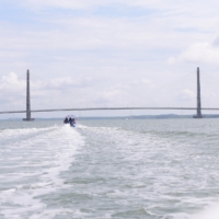 𝐌𝐀𝐉𝐋𝐈𝐒 51