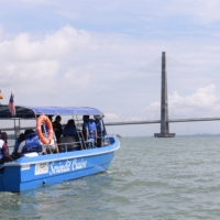 𝐌𝐀𝐉𝐋𝐈𝐒 52