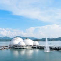 KENYIR 19