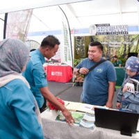 KENYIR 24