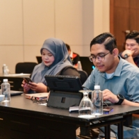 MYSA 29