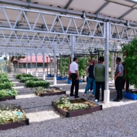 FARM 10