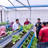 FARM 5