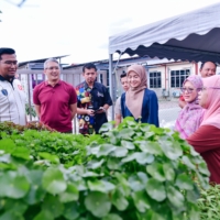 FARM 7