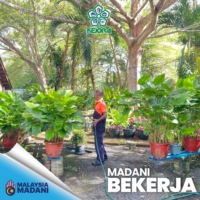 MADANI 2