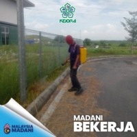 MADANI 6