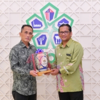MBPG 31