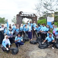 SINERGI 19