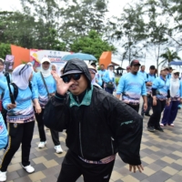 SINERGI 31