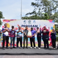 SINERGI 81