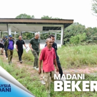 TURUN 8