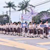 CINTA 15